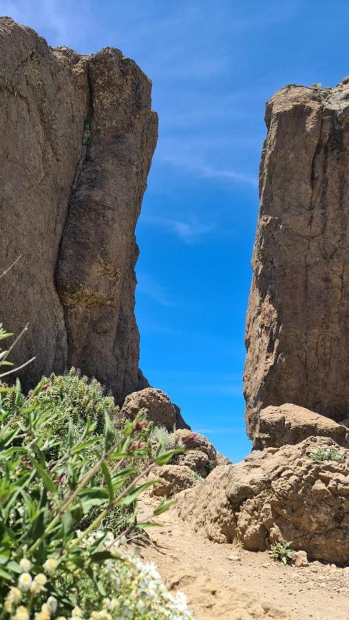 Puerto Rico Top Teide And Amadores View ภายนอก รูปภาพ
