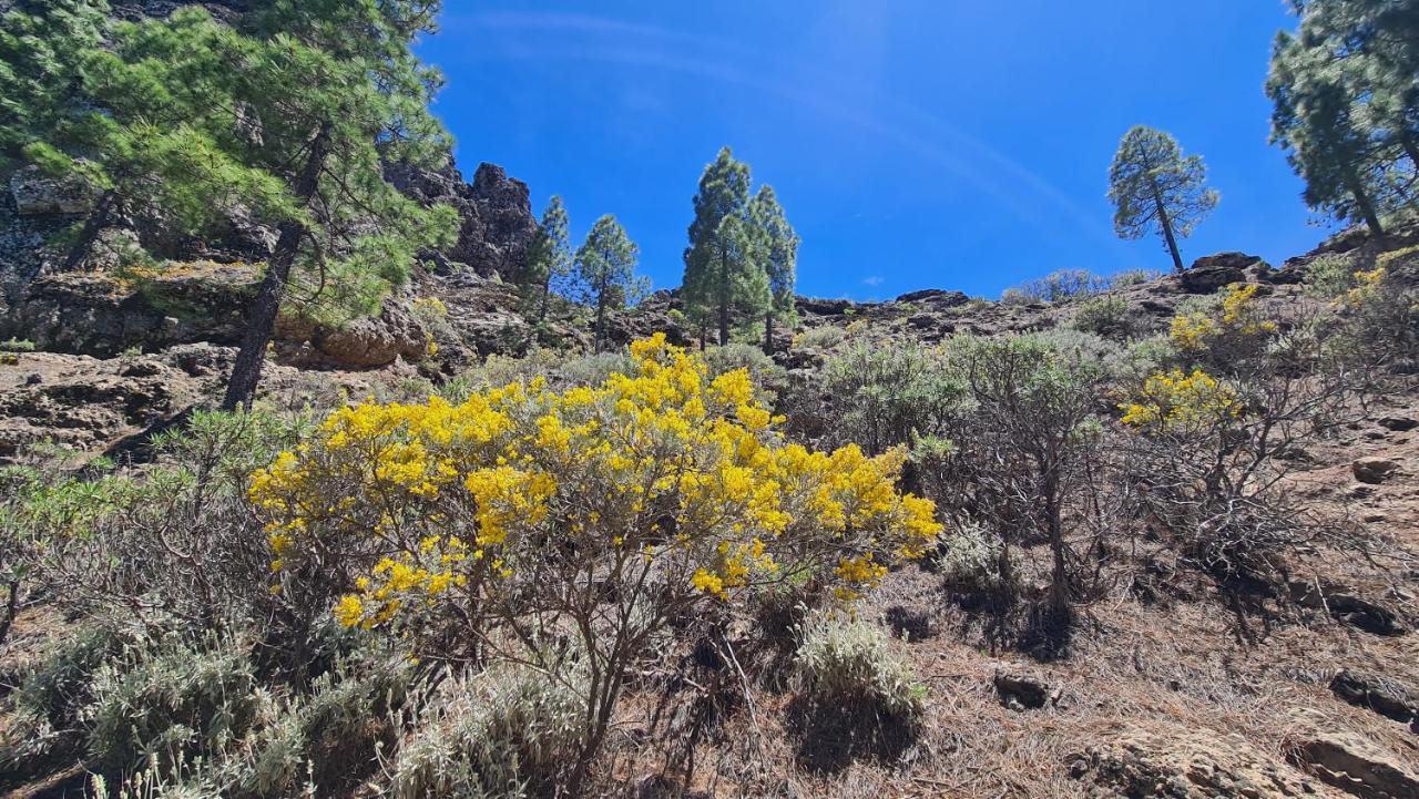 Puerto Rico Top Teide And Amadores View ภายนอก รูปภาพ