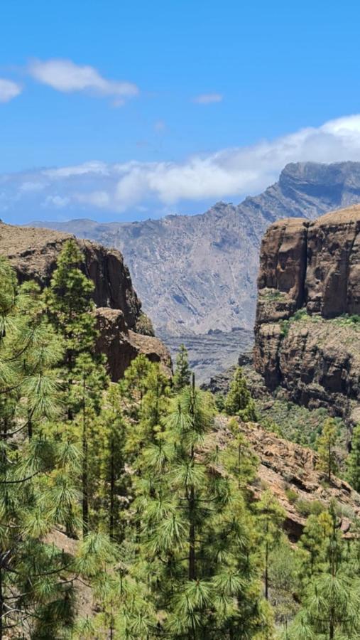 Puerto Rico Top Teide And Amadores View ภายนอก รูปภาพ